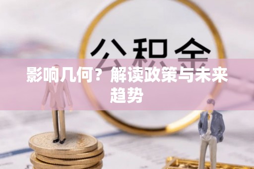 牟定影响几何？解读政策与未来趋势