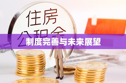 牟定制度完善与未来展望