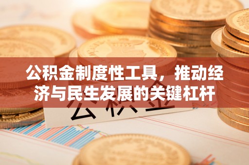 牟定公积金制度性工具，推动经济与民生发展的关键杠杆