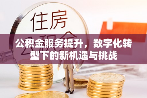 牟定公积金服务提升，数字化转型下的新机遇与挑战