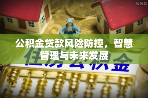 牟定公积金贷款风险防控，智慧管理与未来发展