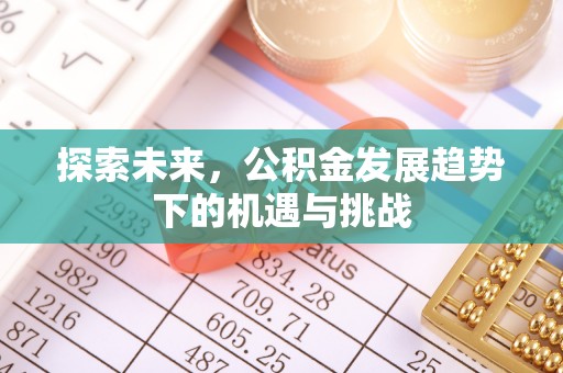牟定探索未来，公积金发展趋势下的机遇与挑战