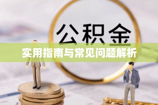 牟定实用指南与常见问题解析