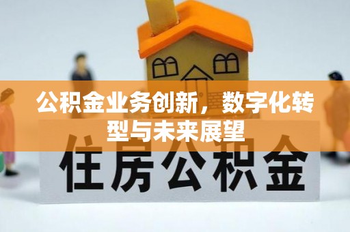 牟定公积金业务创新，数字化转型与未来展望