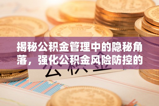 牟定揭秘公积金管理中的隐秘角落，强化公积金风险防控的必要性与路径