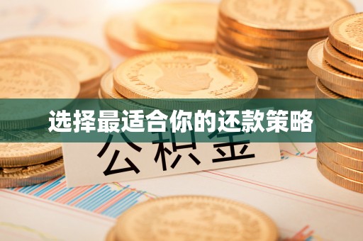 牟定选择最适合你的还款策略